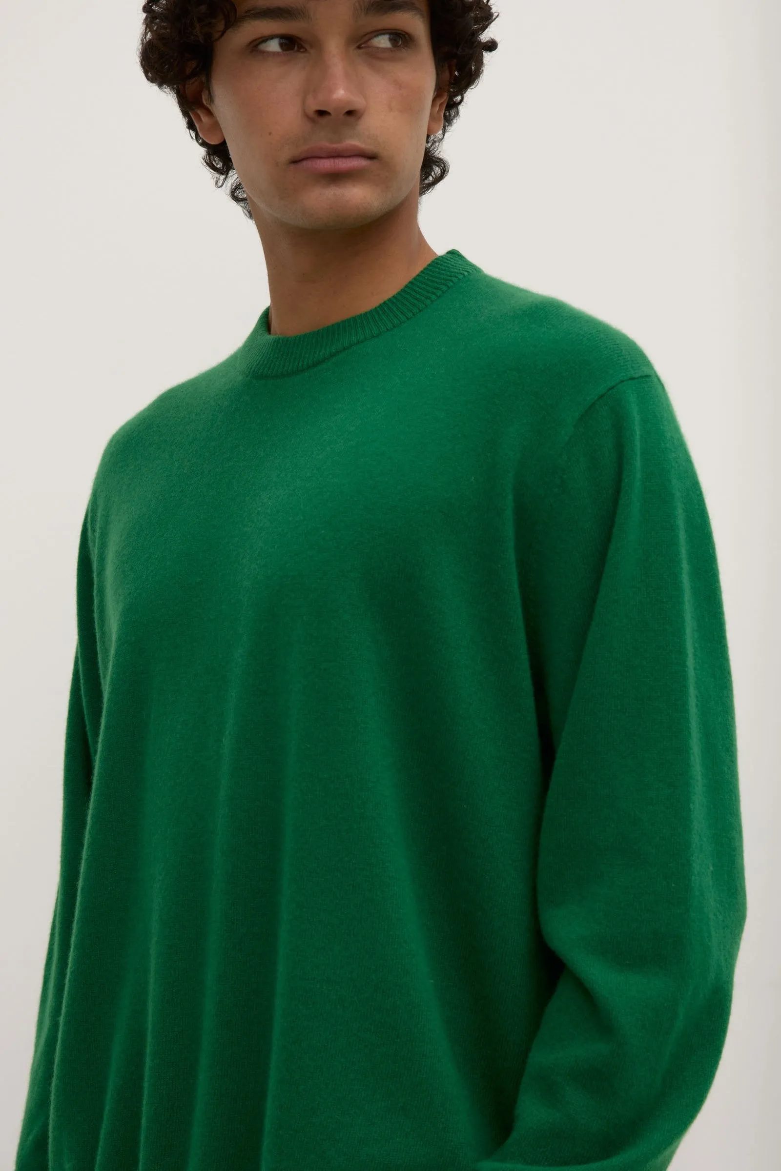 Cashmere Crew Neck Knit