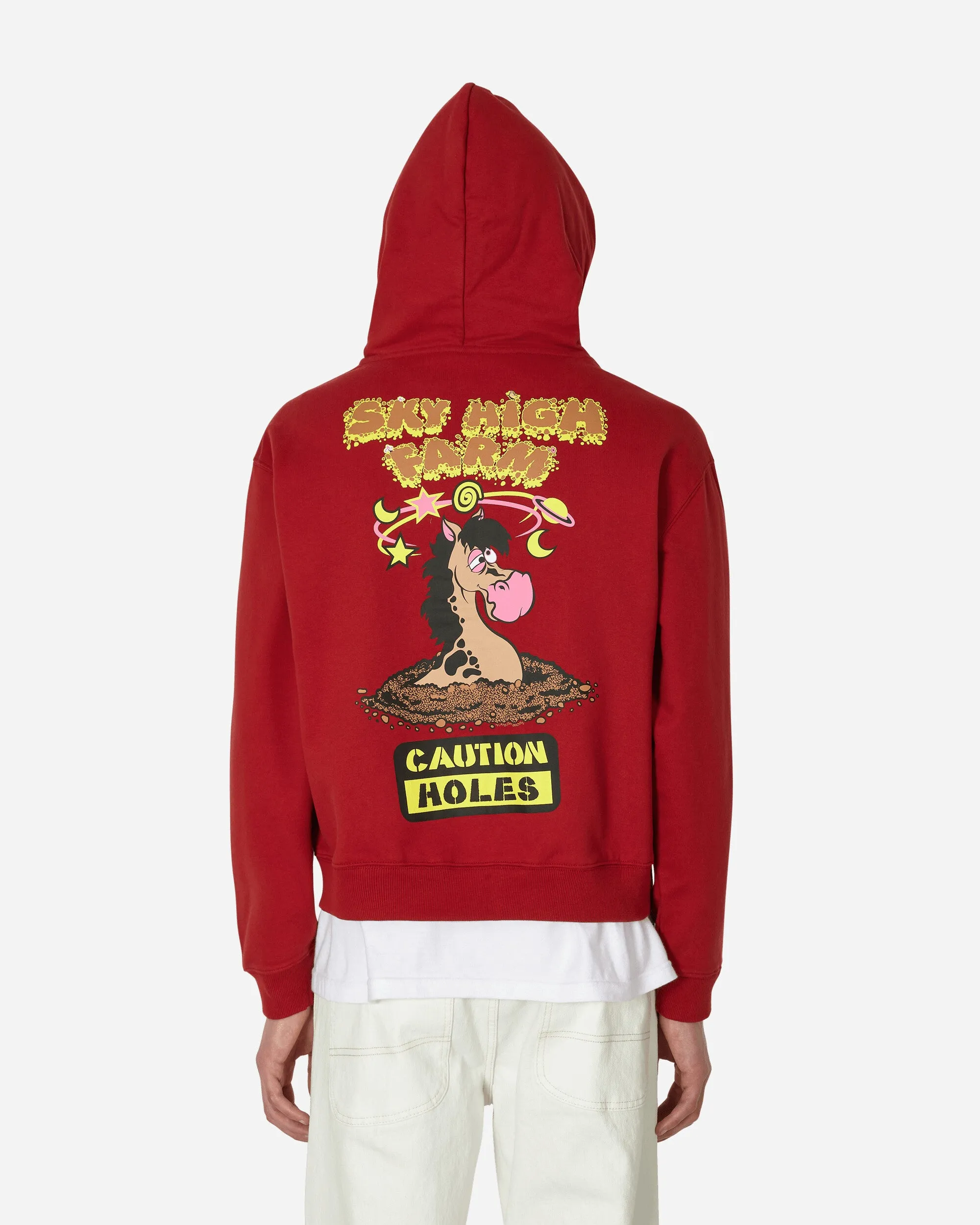 Flatbush Printed Zipped Hooded Sweatshirt Red
