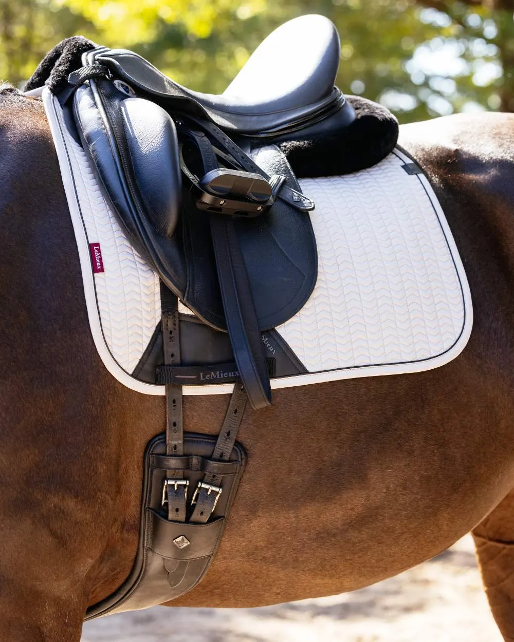 LeMieux Finesse Dressage Square