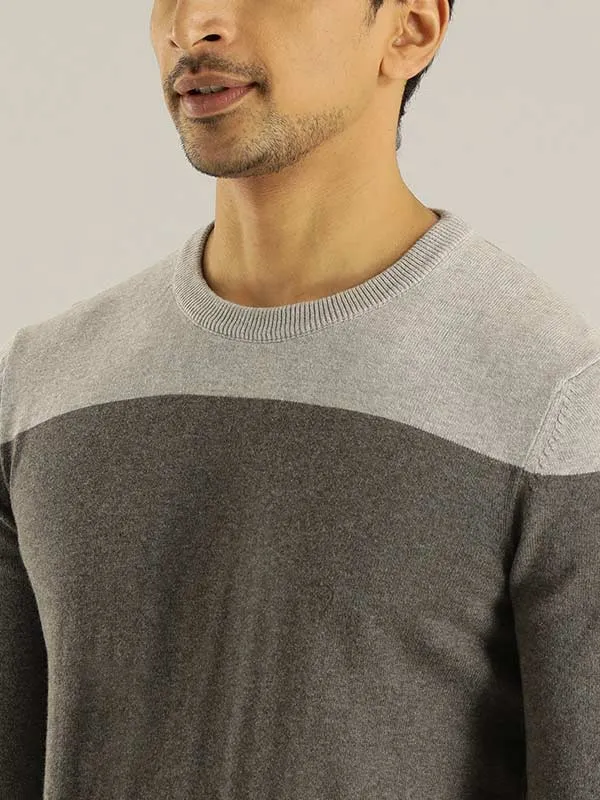 Men Striped Full Sleeve Crew Neck Sweater