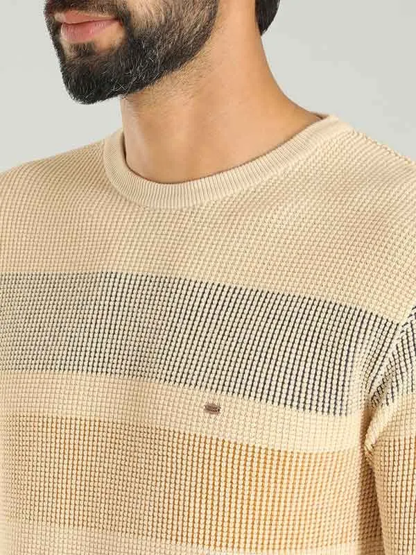 Men Striped Full Sleeve Crew Neck Sweater