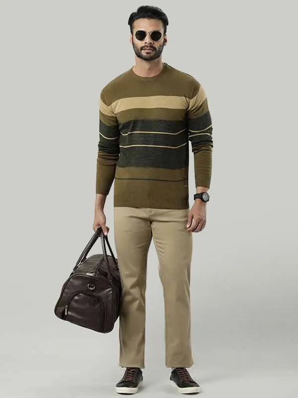 Men Striped Full Sleeve Crew Neck Sweater