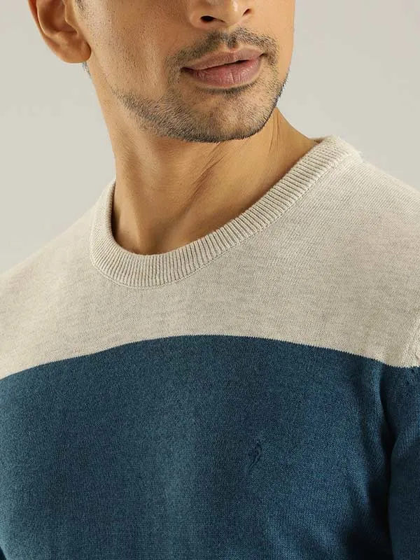 Men Striped Full Sleeve Crew Neck Sweater
