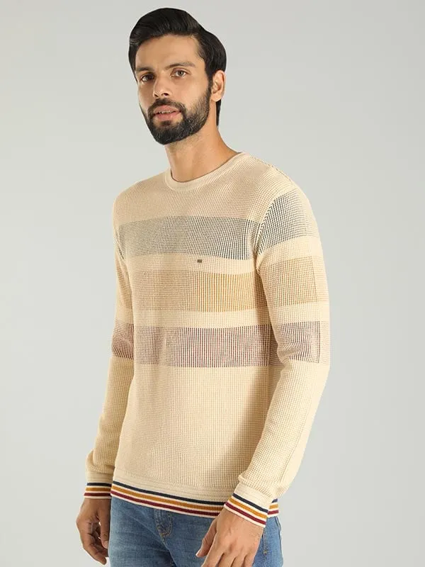 Men Striped Full Sleeve Crew Neck Sweater