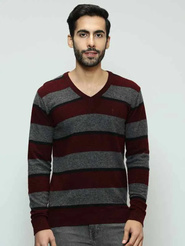 Men Striped Full Sleeve V-Neck Sweater