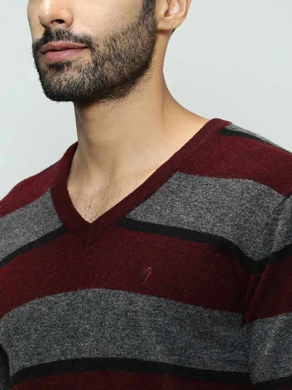 Men Striped Full Sleeve V-Neck Sweater